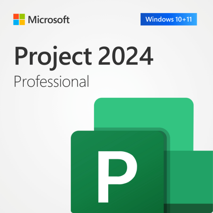 Microsoft Project Professional 2024 | Full Version | Genuine Lifetime License | AUS STOCK